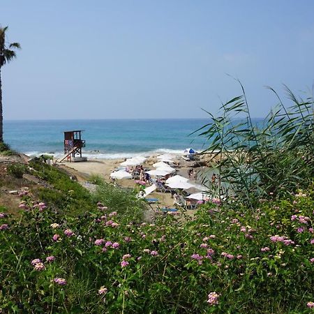 Limnaria Gardens Paphos, Near Beach Kültér fotó