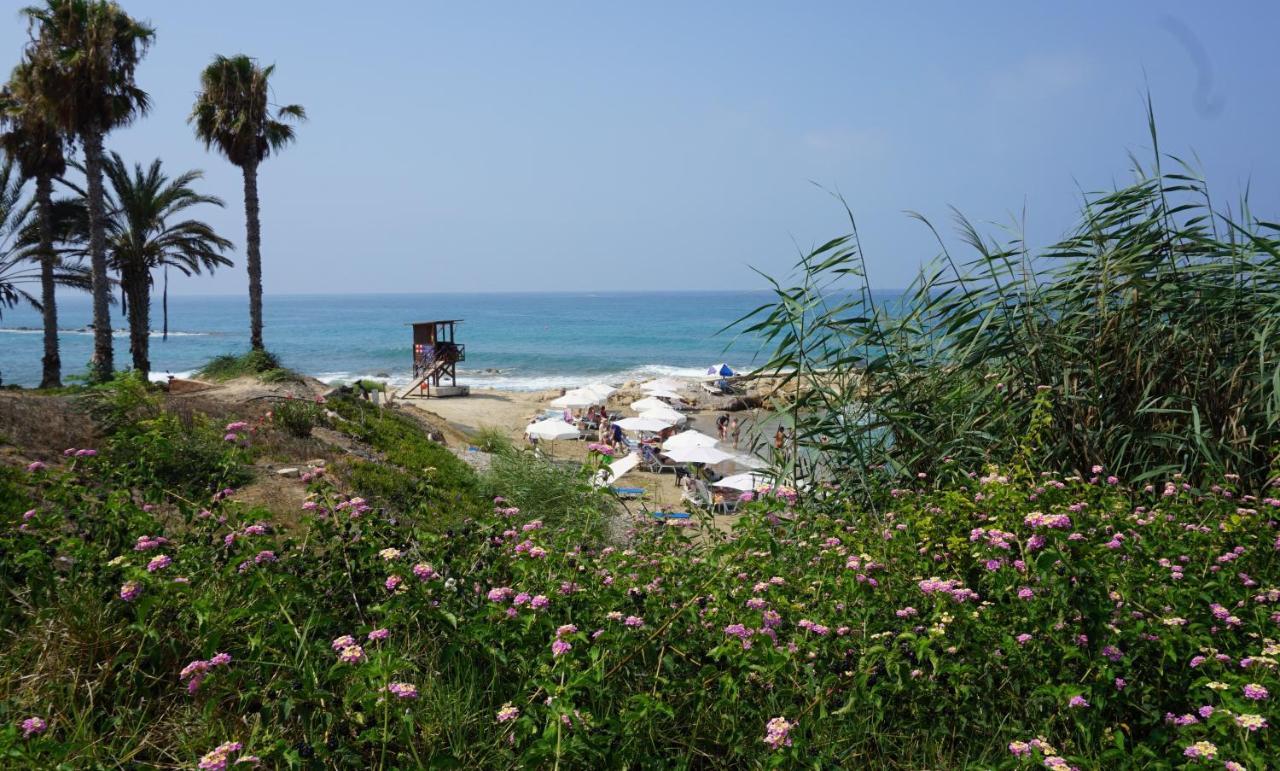 Limnaria Gardens Paphos, Near Beach Kültér fotó